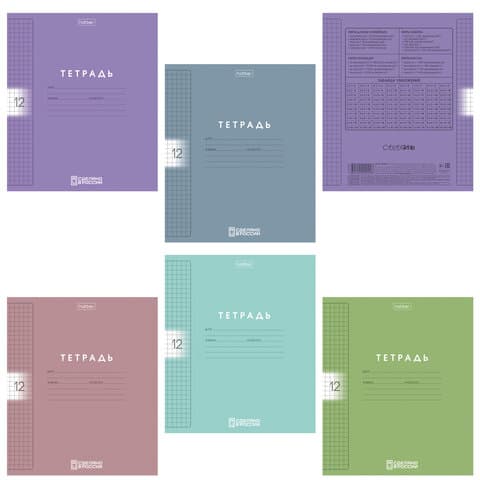 Тетрадь обложка пластик, 12 л., клетка, HATBER, Color Set (микс в спайке), 092025, 12Т5В1пл