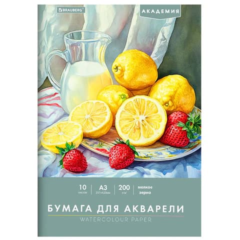Папка для акварели БОЛЬШАЯ А3, 297х420 мм, 10 листов, 200 г/м, BRAUBERG АКАДЕМИЯ (ДЭК) "Натюрморт", 117741