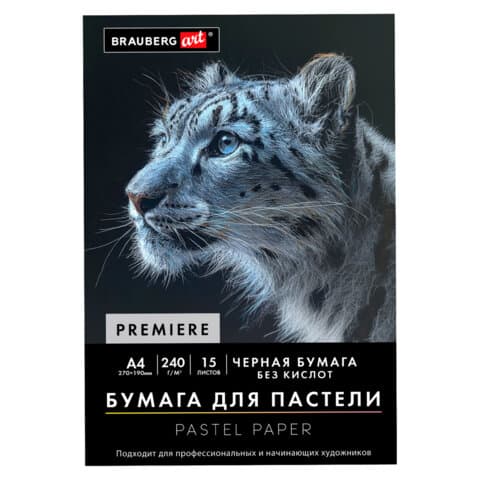 Бумага для пастели АБРАЗИВНАЯ А4, 190х270 мм, в папке, 15 листов, ЧЕРНАЯ, 240 г/м2, BRAUBERG ART, 117765