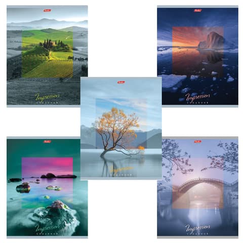 Тетрадь А5, 80 л., HATBER, скоба, клетка, обложка картон, "IMPRESSIONS" (микс), 046880, 80Т5В1