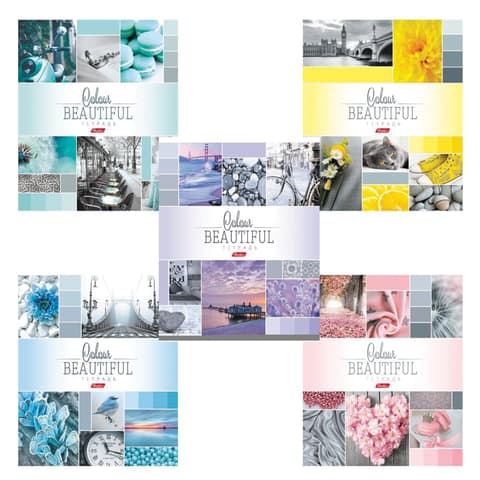 Тетрадь А5, 96 л., HATBER, скоба, клетка, обложка картон, "BEAUTIFUL COLOURE" (микс), 046858, 96Т5В1