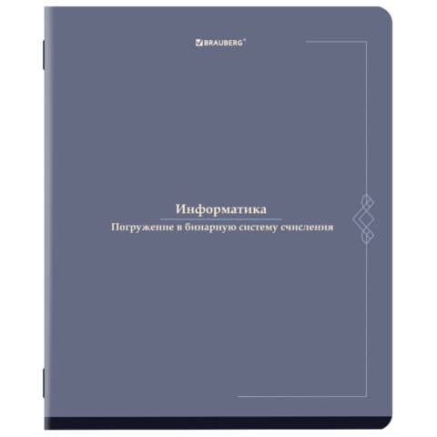 Тетрадь предметная VINTAGE 48 л., SoftTouch, ИНФОРМАТИКА, клетка, подсказ, BRAUBERG, 405154