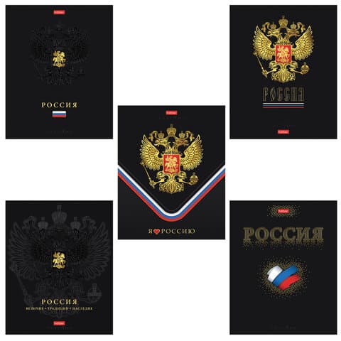 Тетрадь А5 48 л., HATBER, скоба, клетка, матовая ламинация, 3D-фольга, 3D-лак, Россия (микс), 093210, 48Т5лофлВ1