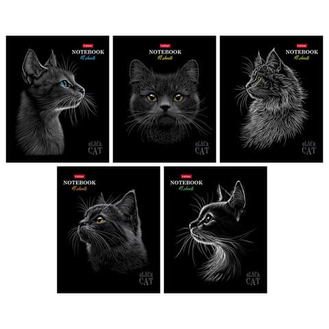 Тетрадь А5, 48 л., HATBER, скоба, клетка, матовая ламинация, 3D-лак, "Black Cat" (микс в спайке), 093159, 48Т5лолВ1
