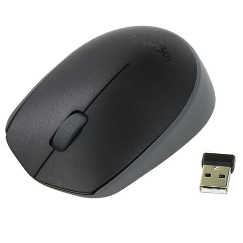 Мышь беспроводная LOGITECH M171, 2 кнопки + 1 колесо-кнопка, оптическая, черная